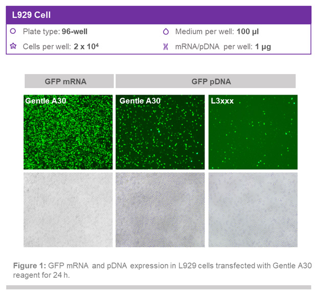 1767591375377894.jpg 111.jpg