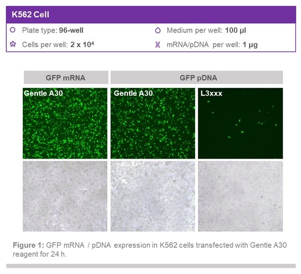 1767591386355191.jpg 222.jpg