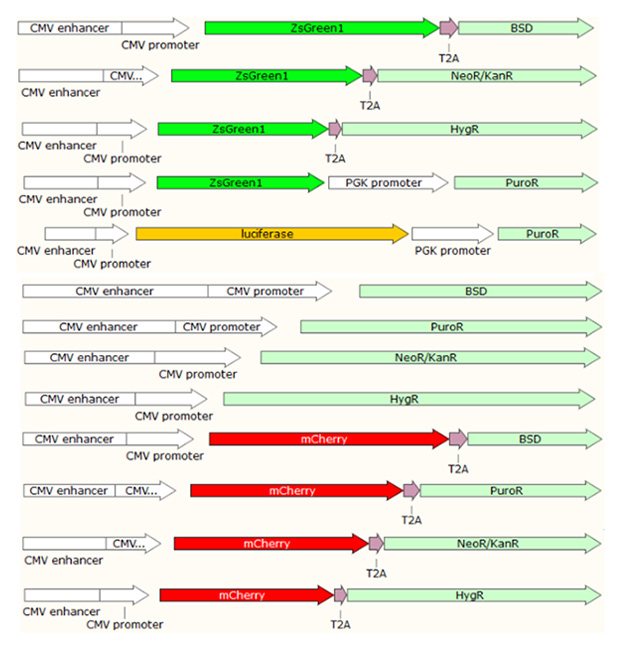 1773499263724123.jpg 7.jpg