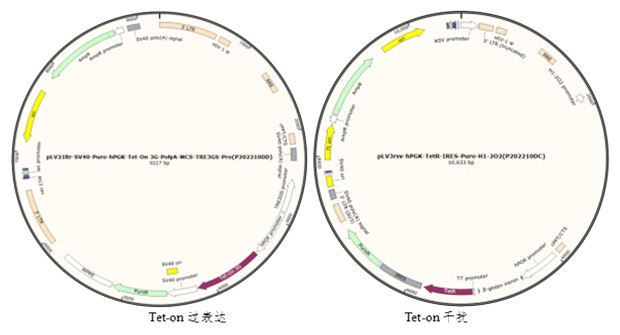 1773499443859975.jpg 4.jpg