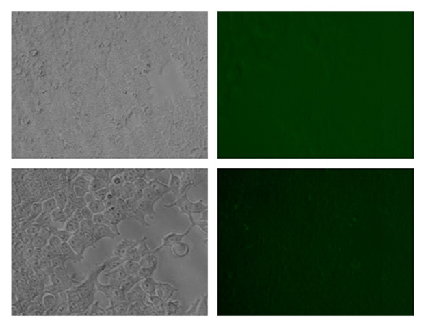 1773499565799721.jpg 3.jpg