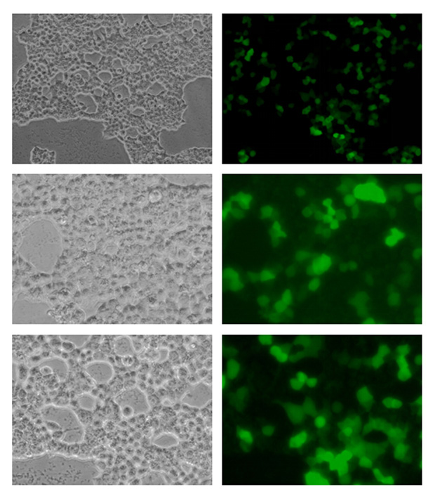 1773499579873754.jpg 2.jpg