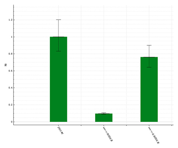 1773499604850110.jpg 8.jpg